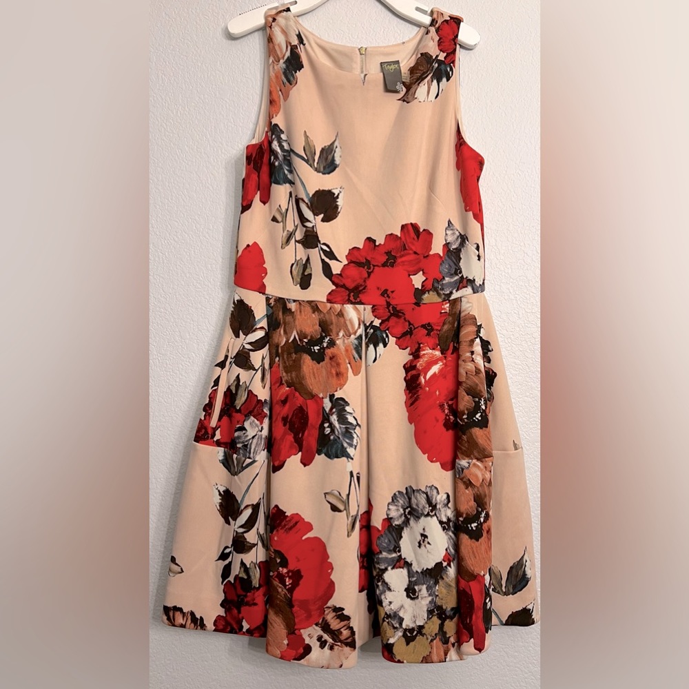 Taylor size 14